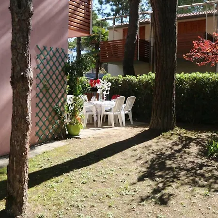 Ranch Club 캠프장